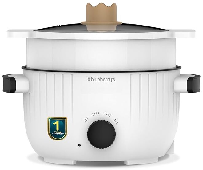 Blueberry's PROCOOK 3-Liter 1000-Watts Multicook Electric Kettle Cooker, Dual Power Modes, Quick Boiling, Overheat Protection, Boil-Dry Protection with 1-Year Warranty -Black