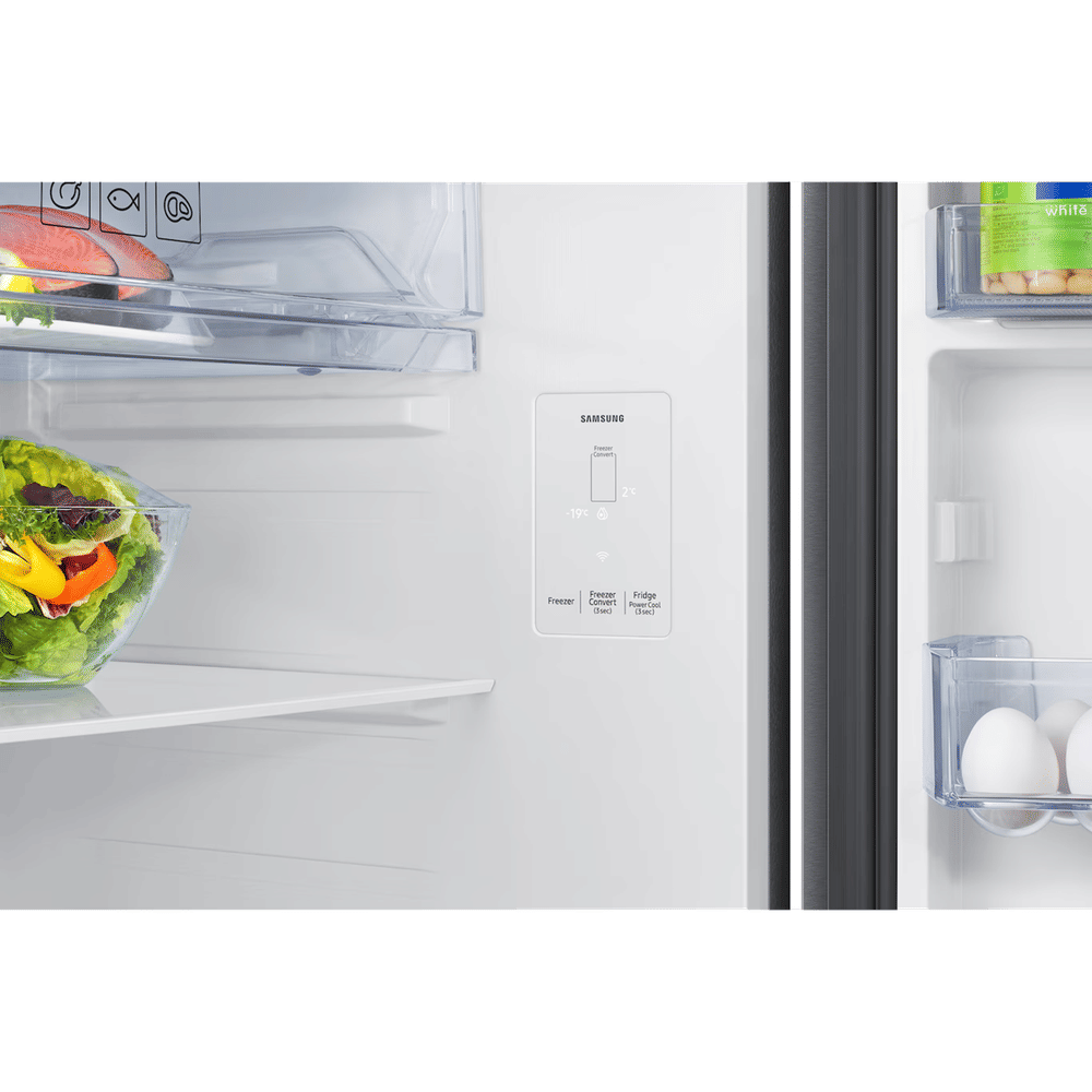 Samsung 419 L Double Door Refrigerator with Bespoke AI, 2 Star RT45HG6A22SL