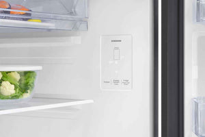 Samsung 256 L Frost Free Double Door 2 Star Refrigerator (Luxe Black, RT40H30W2KHL)
